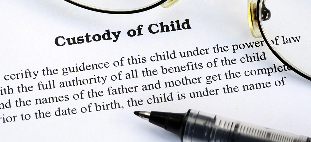 Child Custody Lawyer MI